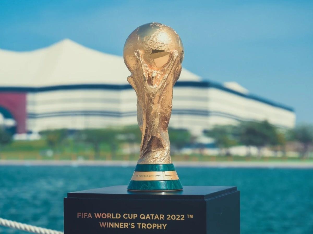World Cup Final Stadium Assist Online
