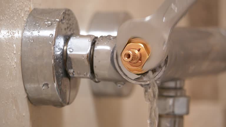 Emergency Plumbing Services: Fast and Efficient