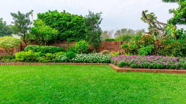 Elevate Your Outdoor Space with Top-notch Fayetteville Landscaping Services