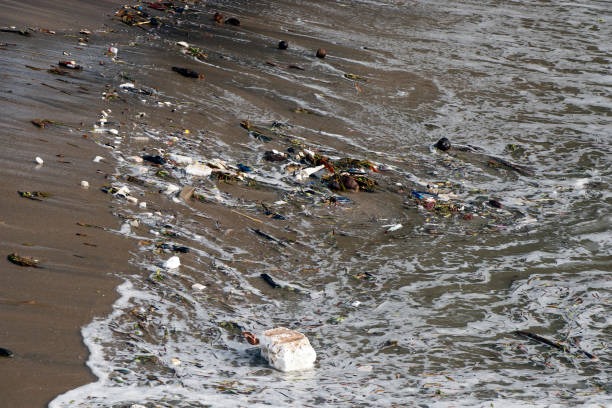 Plastic Recycling Singapore for Homes and Offices